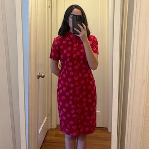 Adrianna Papell Button Down Long Lined Polka Dot Dress